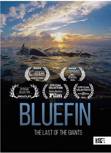 Bluefin фильм (2016)